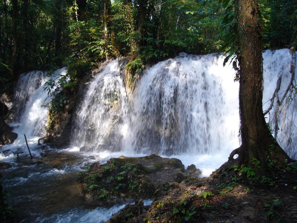 🌳Qué Hacer en la Selva Lacandona Chiapas